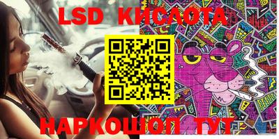 мяу мяу мука Ачхой-Мартан