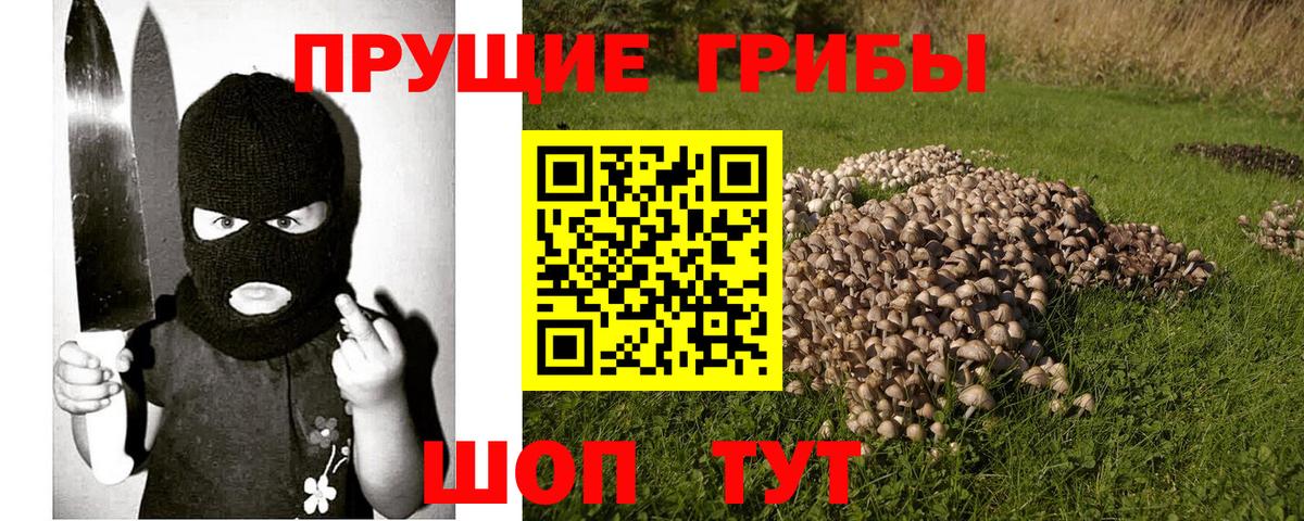 Галлюциногенные грибы GOLDEN TEACHER  Вход с VPN  Галлюциногенные грибы MAGIC MUSHROOMS  Наро-Фоминск 